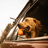 Hračky psů West Paw West Paw se Zogoflex Tux S Mandarin Orange