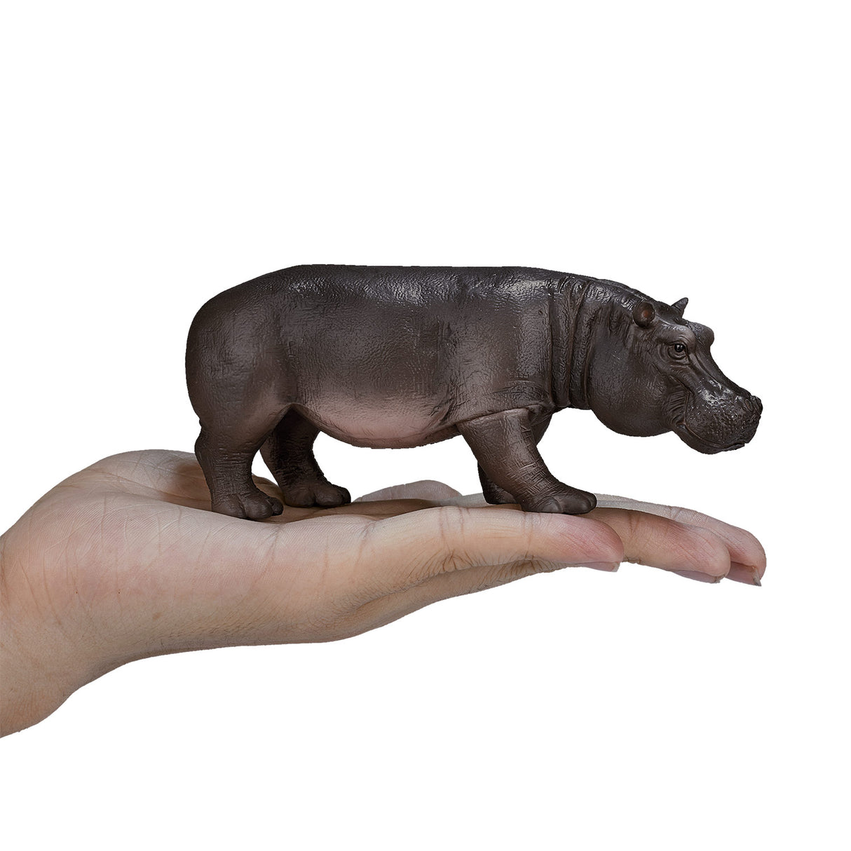 Mojo Wildlife Nile Horse Woman 387104
