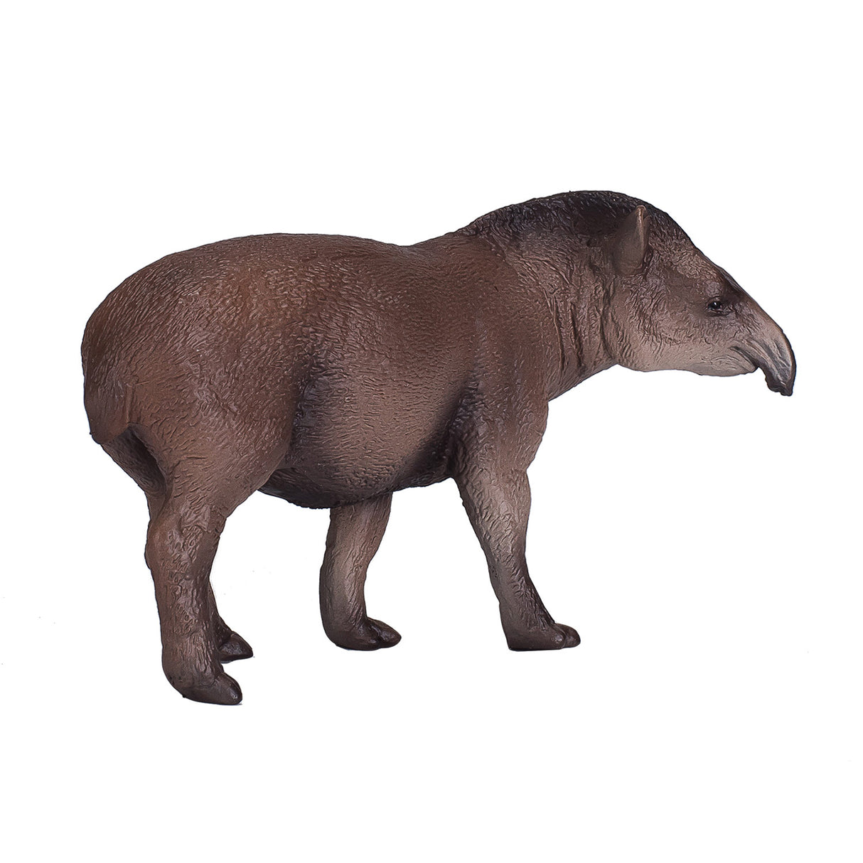 Mojo divjad Brazilski tapir 381023