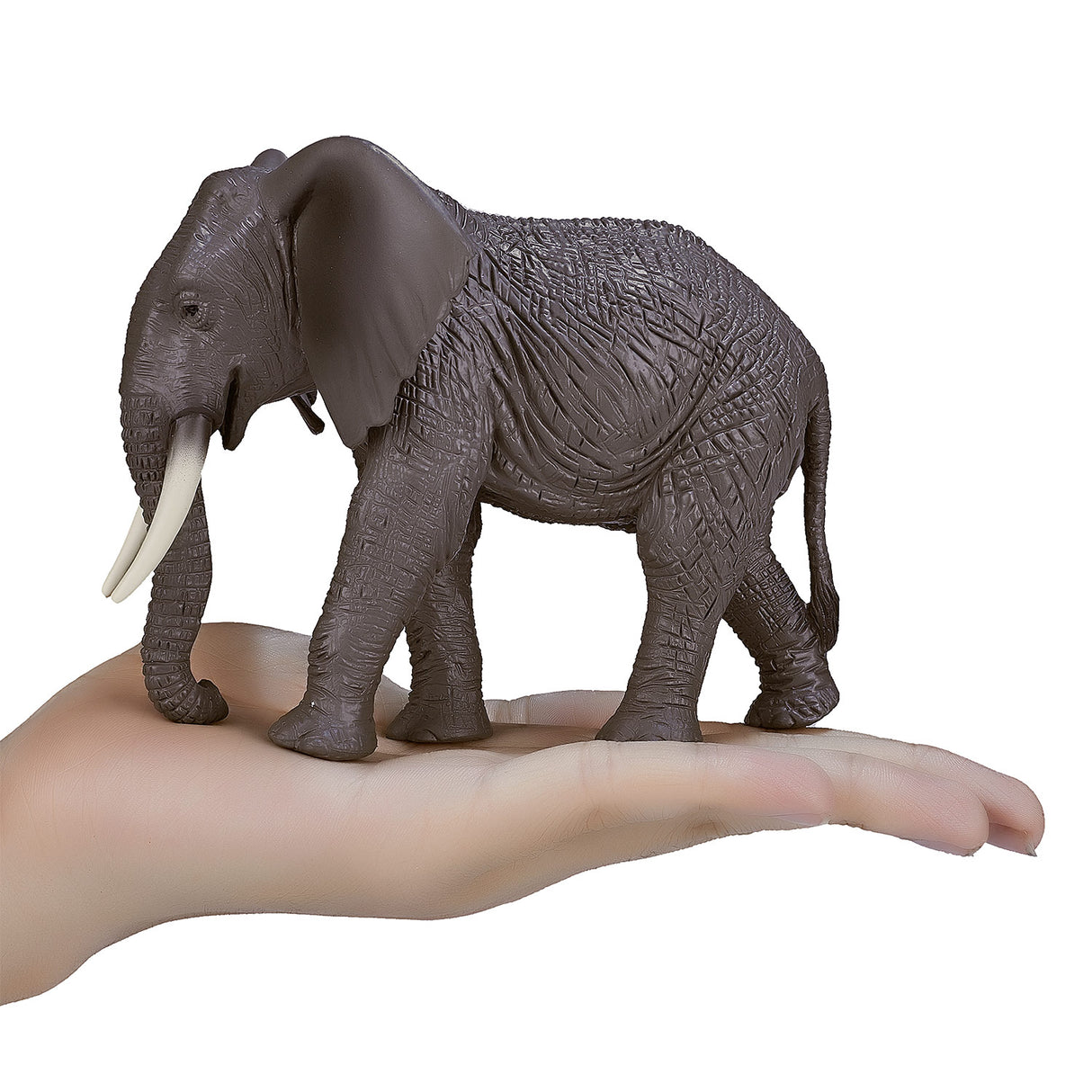 Mojo Wildlife African Elephant 387189