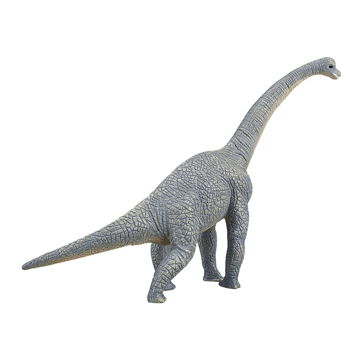 Mojo Vorgeschichte Brachiosaurus 387044