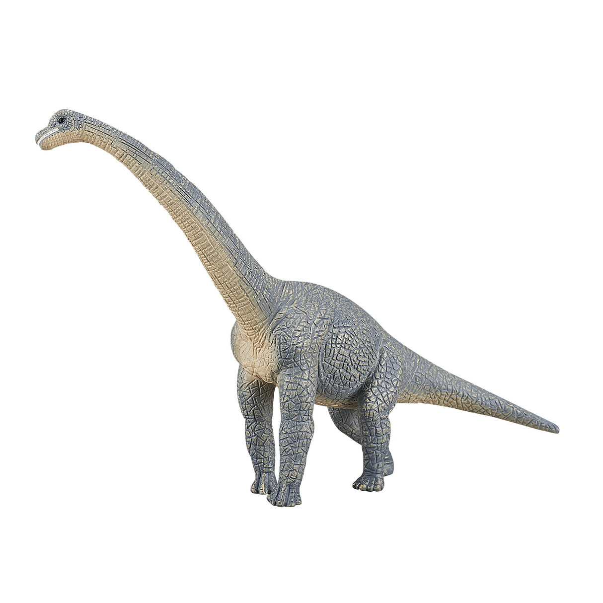 Mojo Vorgeschichte Brachiosaurus 387044