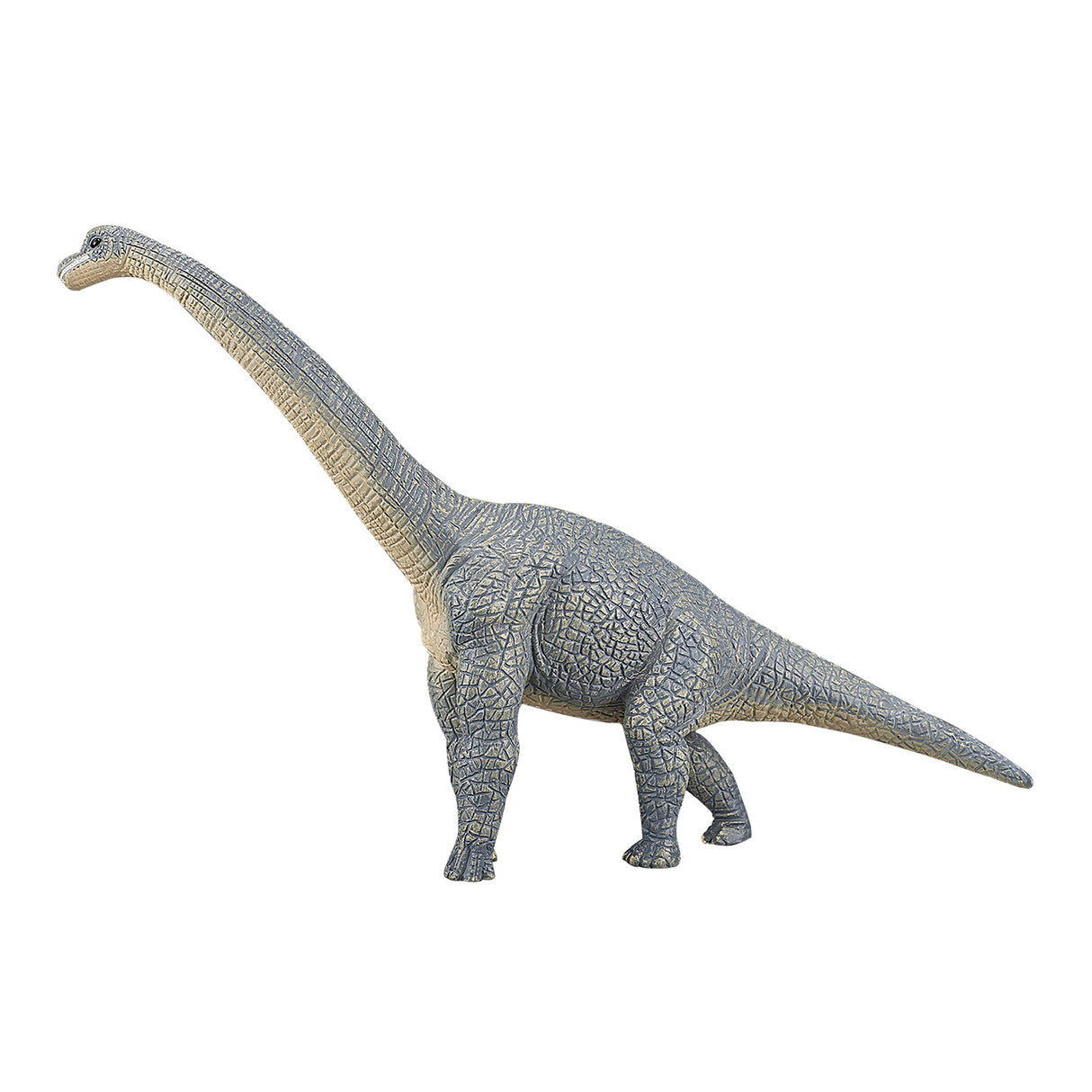 Mojo Vorgeschichte Brachiosaurus 387044