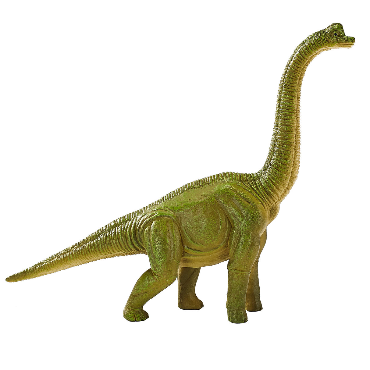 Mojo Prehisory Bachiosaurus 387212
