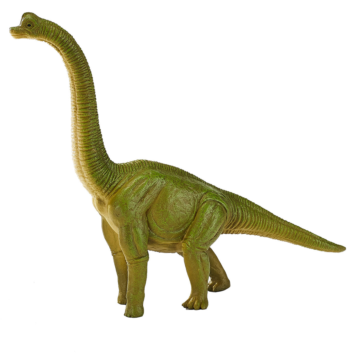 Mojo Prehisory Bachiosaurus 387212