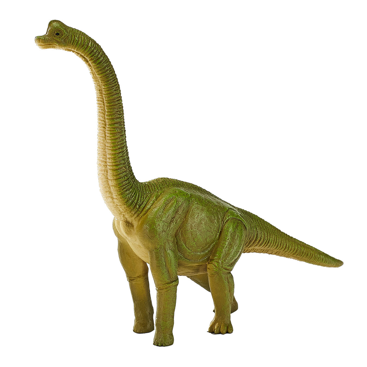 Mojo Prehisory Bachiosaurus 387212