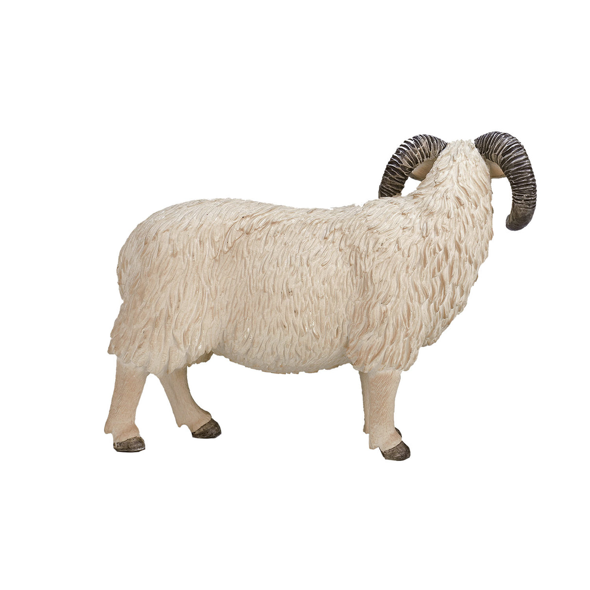 Mojo Akerland Scapap Ram 387097