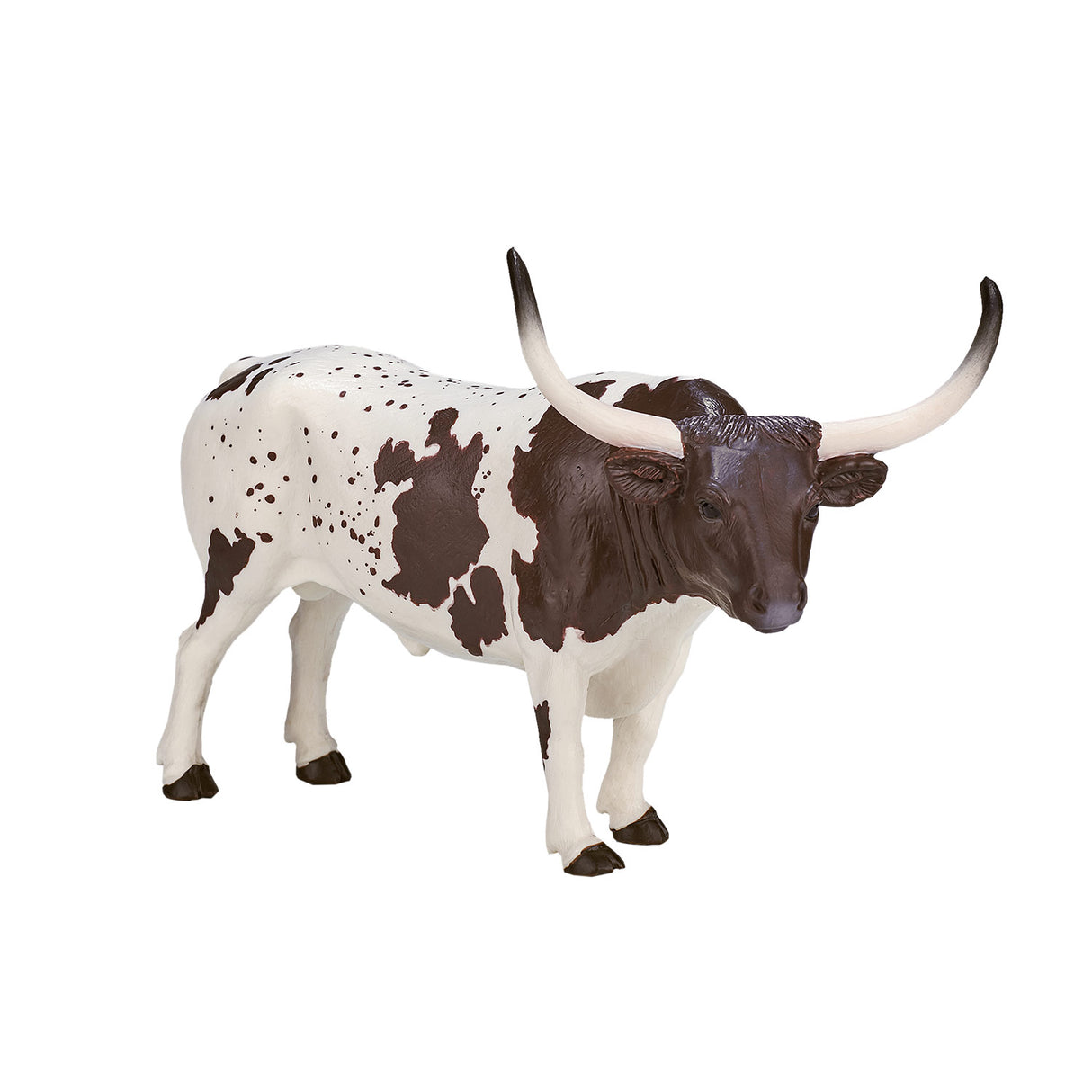 Mojo Bauereland Texas Longhorn Bull 387222