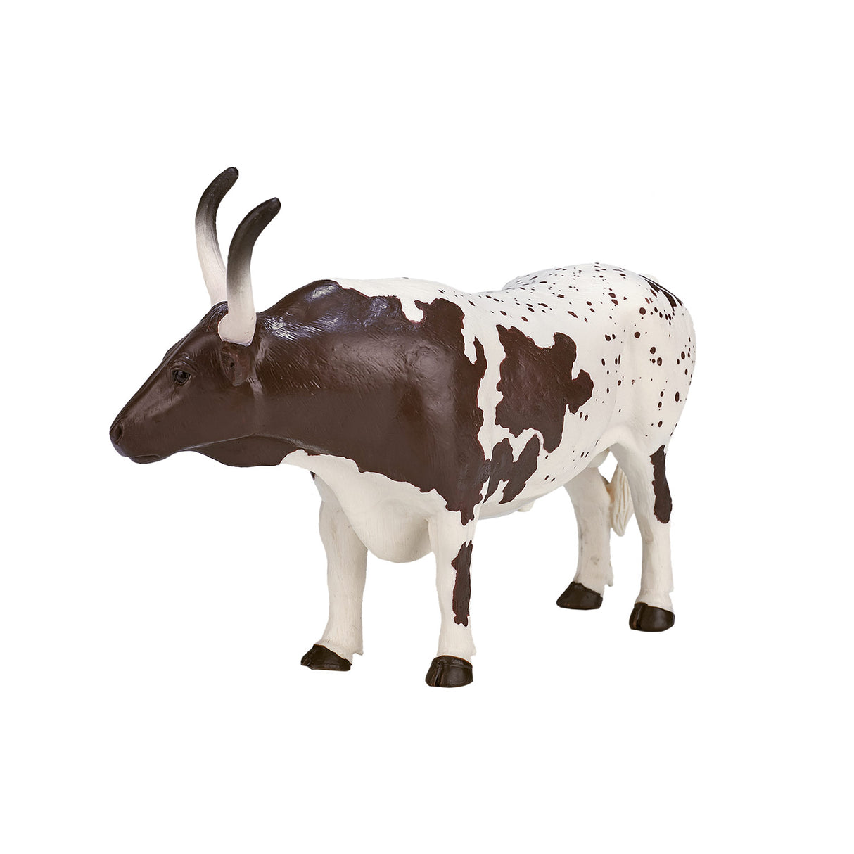 Mojo Bauereland Texas Longhorn Bull 387222