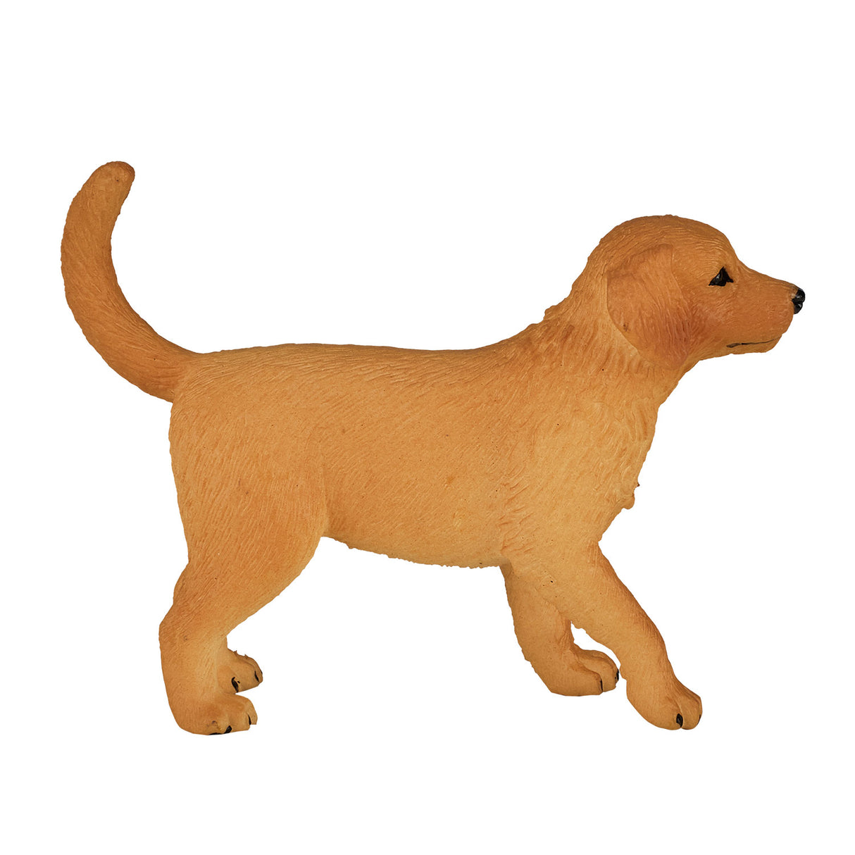 Mojo landbrugsjord Golden Retriever hvalp 387205