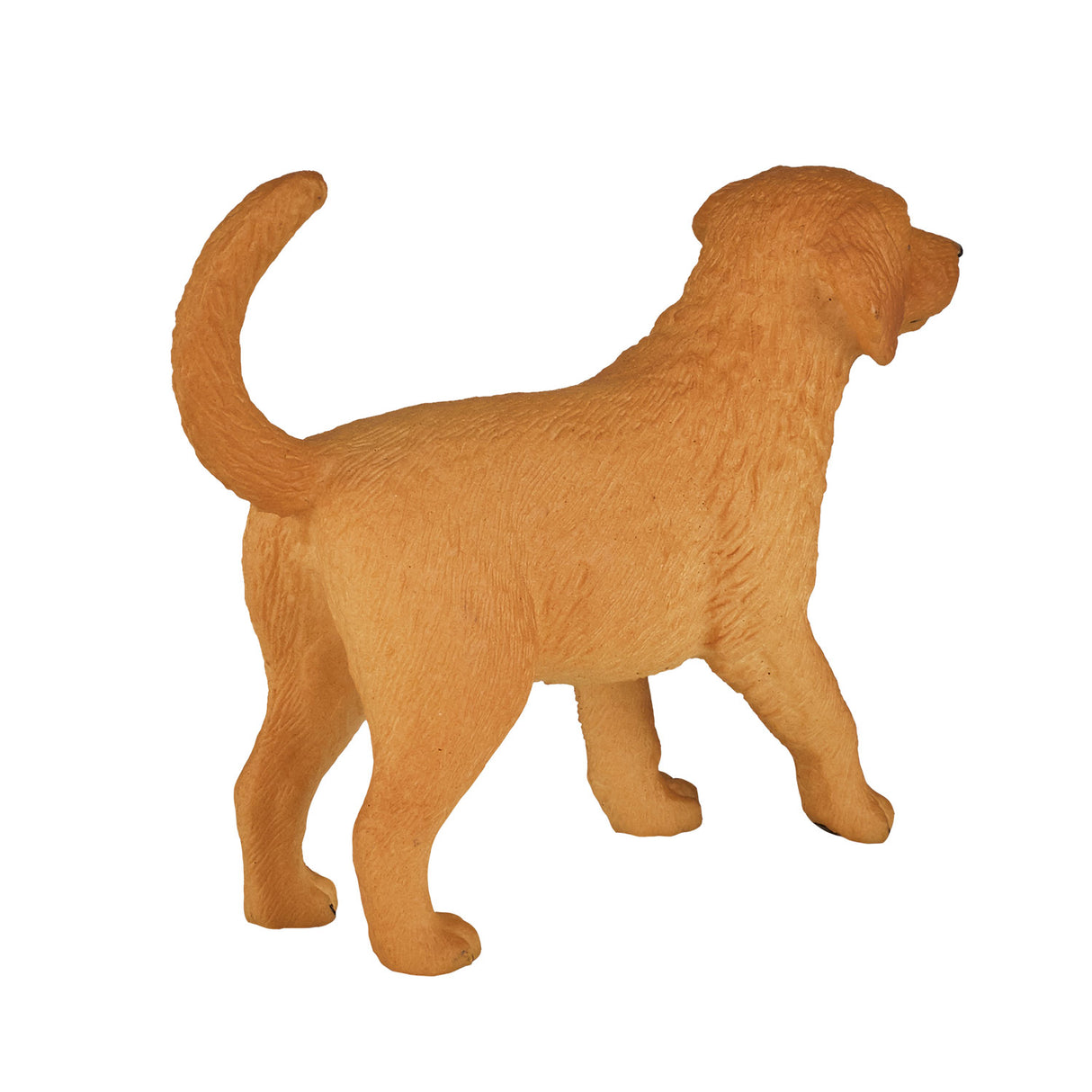 Mojo landbrugsjord Golden Retriever hvalp 387205