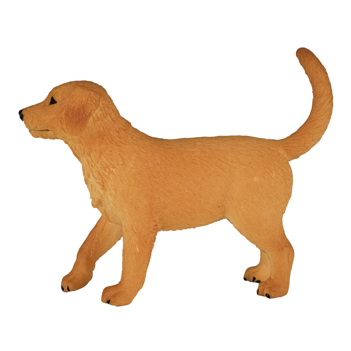 Mojo landbrugsjord Golden Retriever hvalp 387205