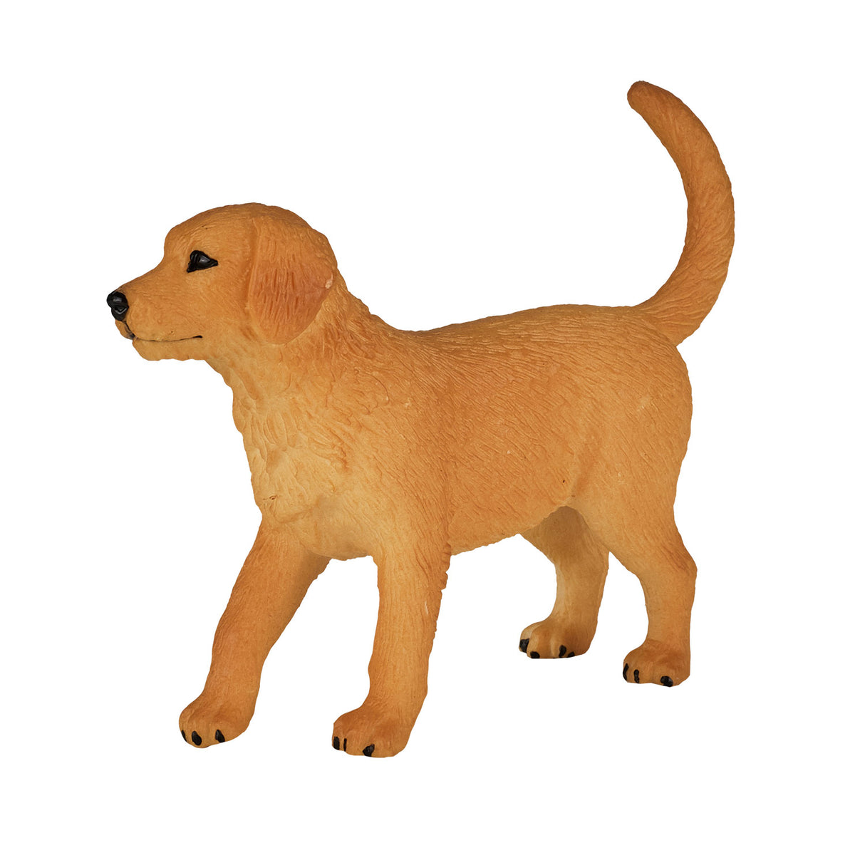 Mojo landbrugsjord Golden Retriever hvalp 387205