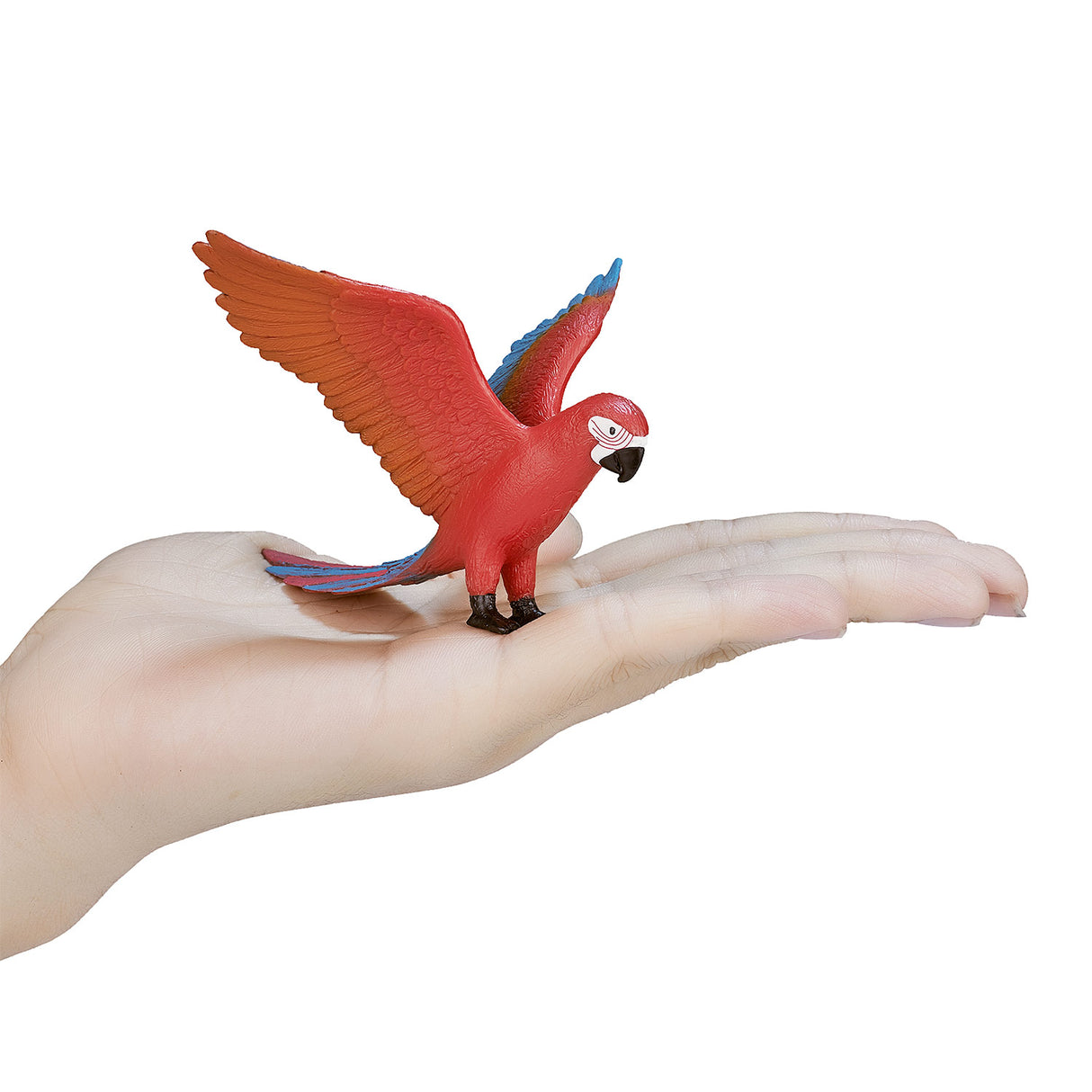 Mojo Akerland Parrot 387263