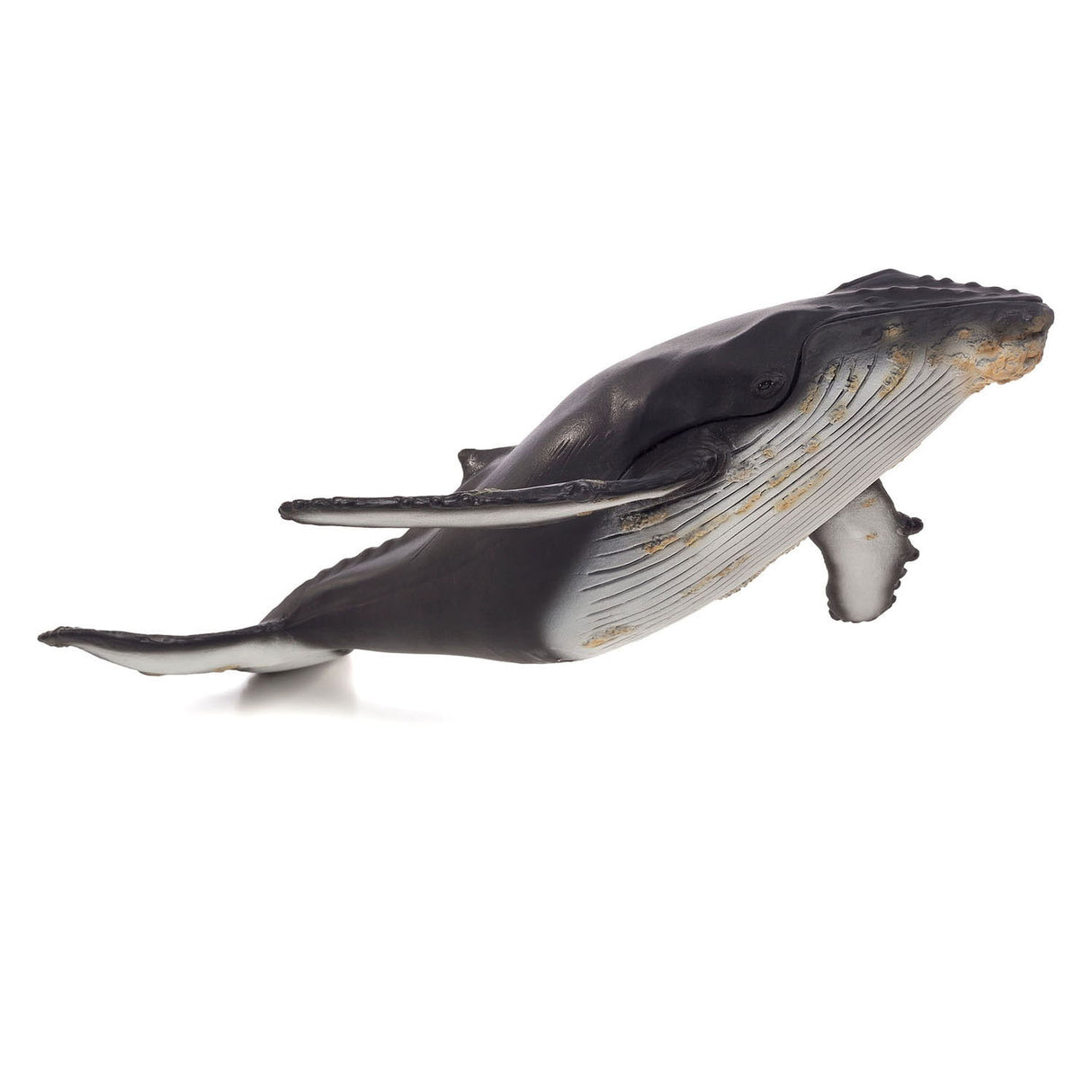 Mojo Sealife bultrughtwalvis grouss 387277