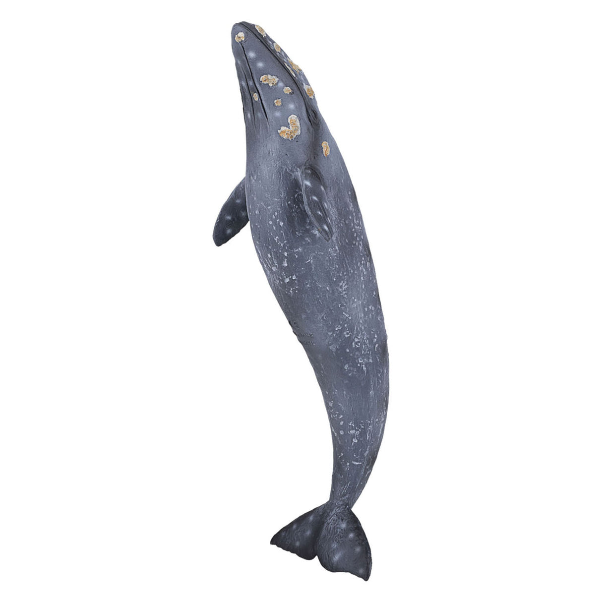Mojo Senafe Gray Whale 387280