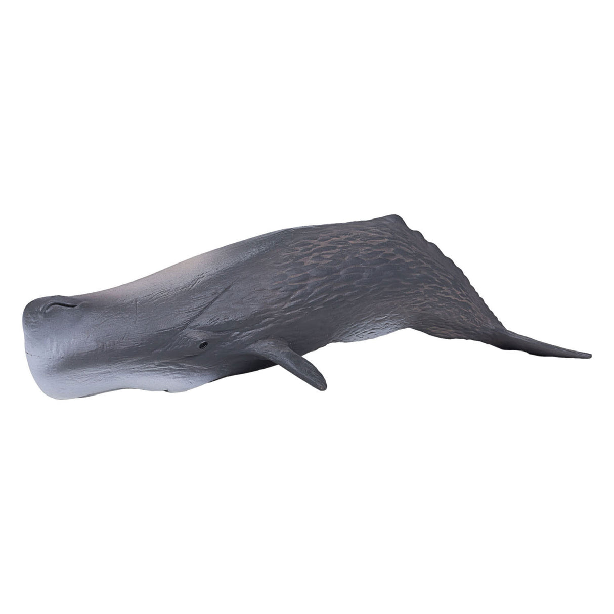 Mojo SealLife Potfish 387210
