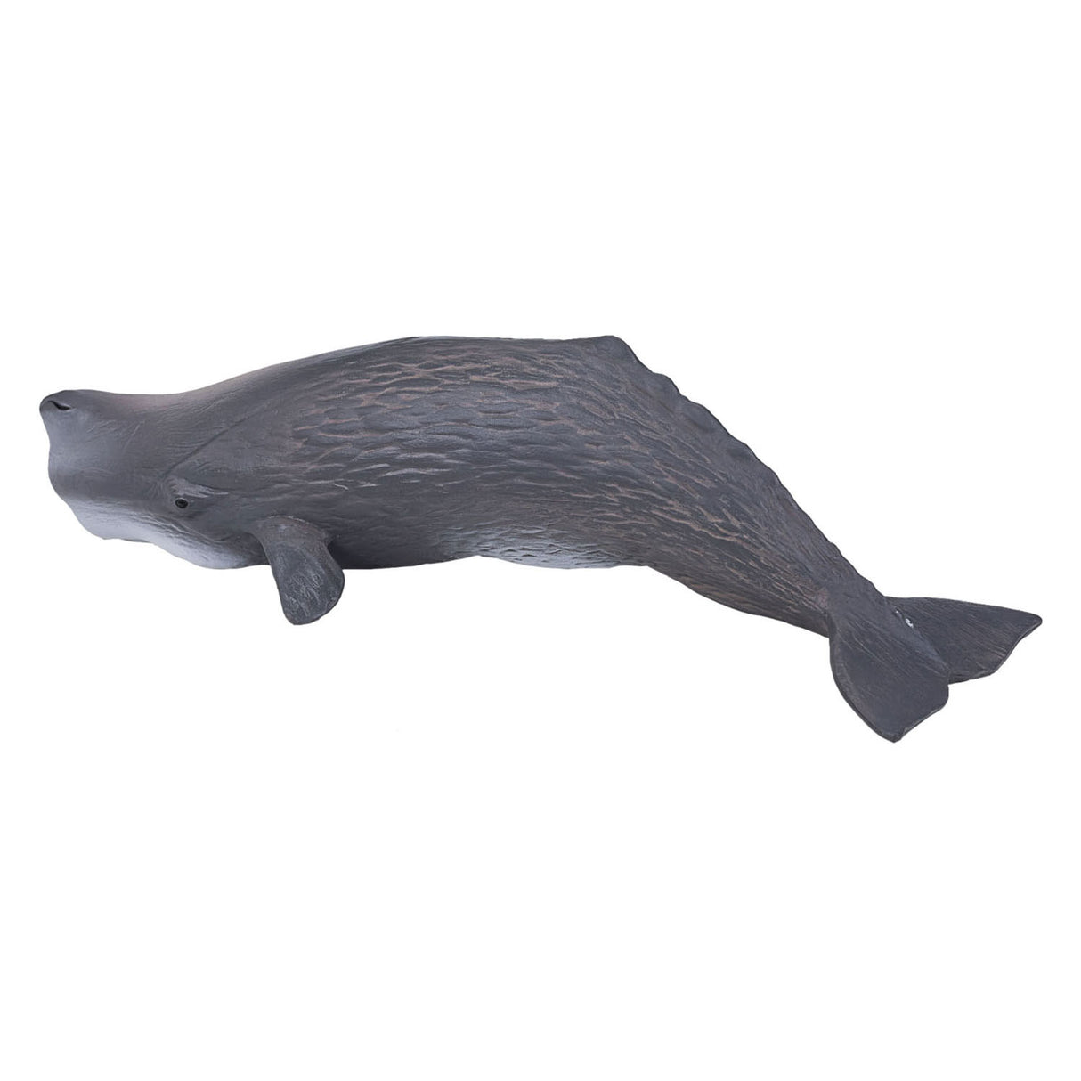 Mojo SealLife Potfish 387210