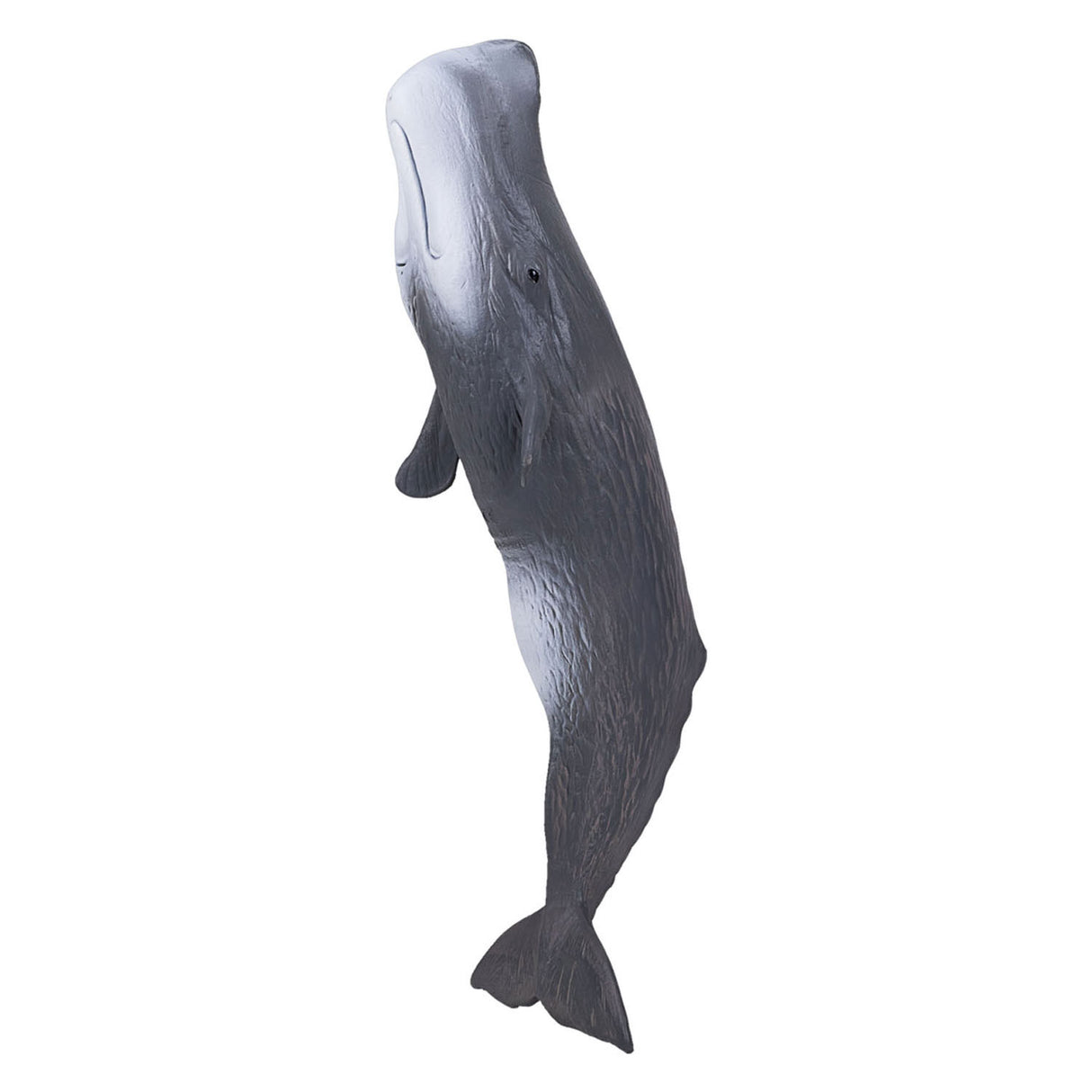 Mojo SealLife Potfish 387210