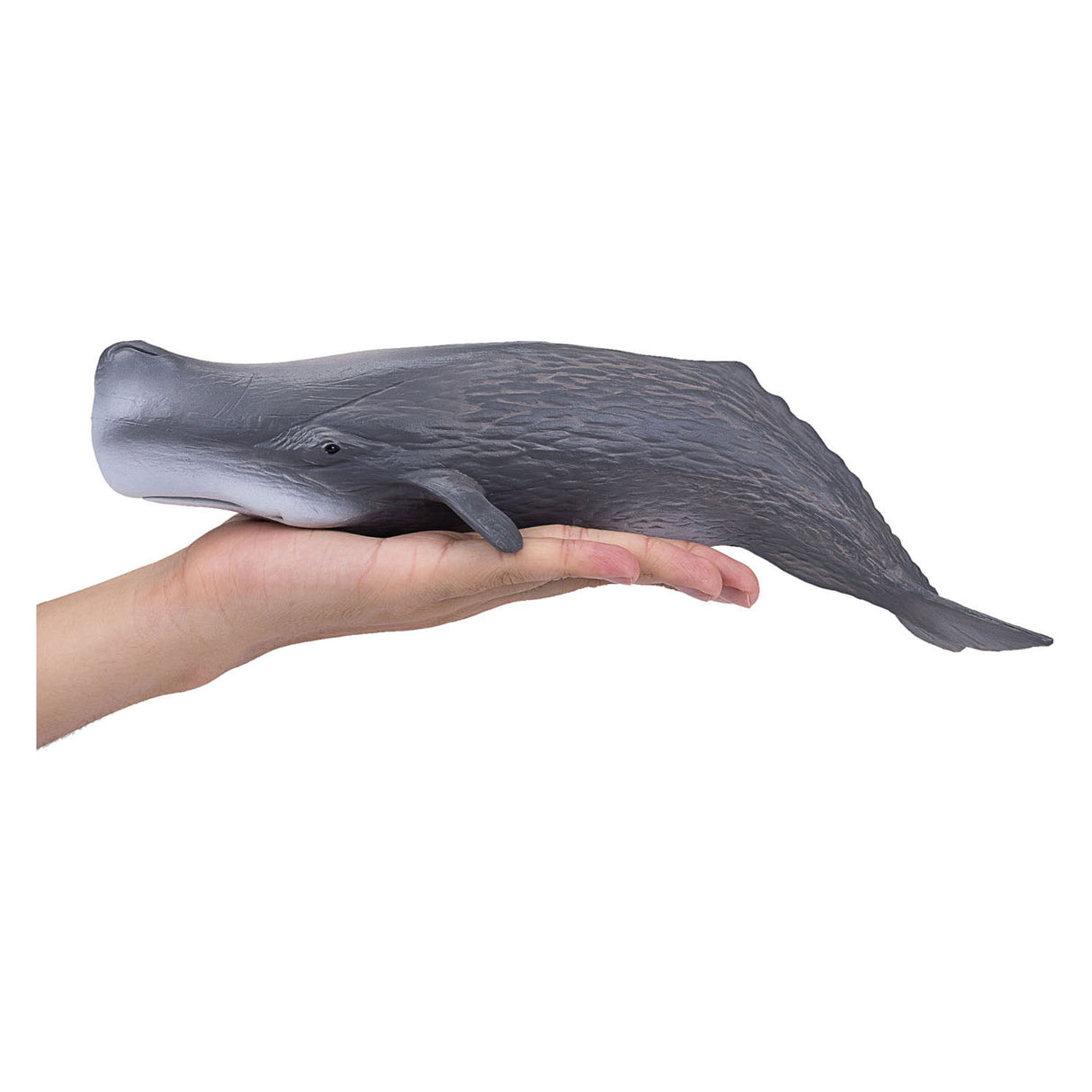 Mojo SealLife Potfish 387210