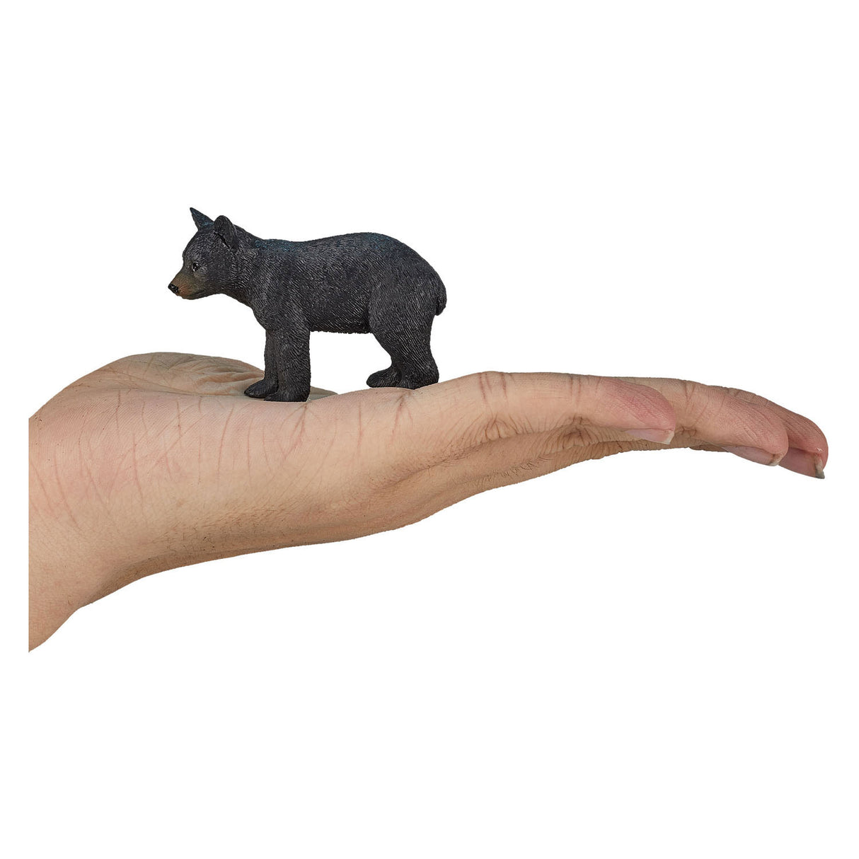 Mojo divjad Black Bear 387287