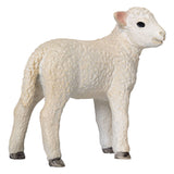 Mojo Bauereland Romney Lam stoen 381065