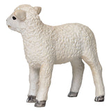 Mojo Bauereland Romney Lam stoen 381065