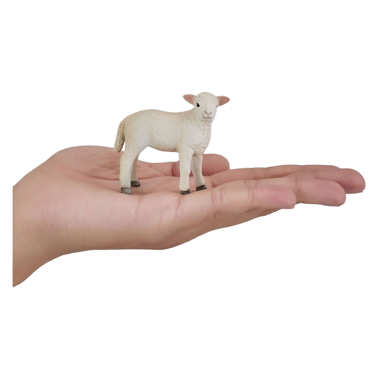 Mojo Bauereland Romney Lam stoen 381065