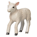 Mojo Bauereland Romney Lam Renenend 381066
