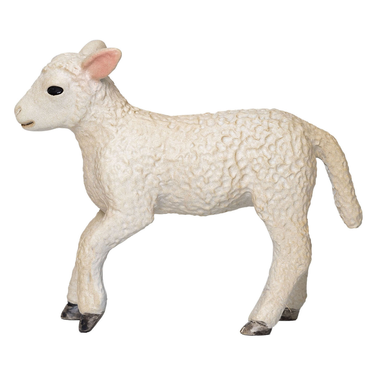 Mojo Bauereland Romney Lam Renenend 381066