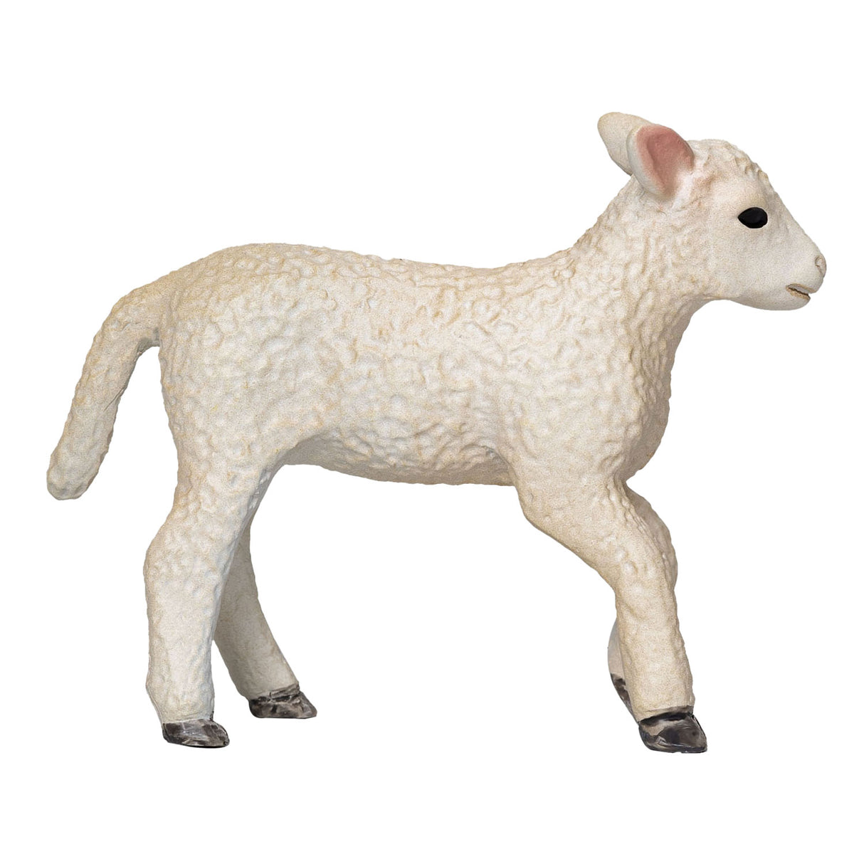 Mojo Bauereland Romney Lam Renenend 381066