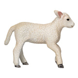 Mojo Bauereland Romney Lam Renenend 381066
