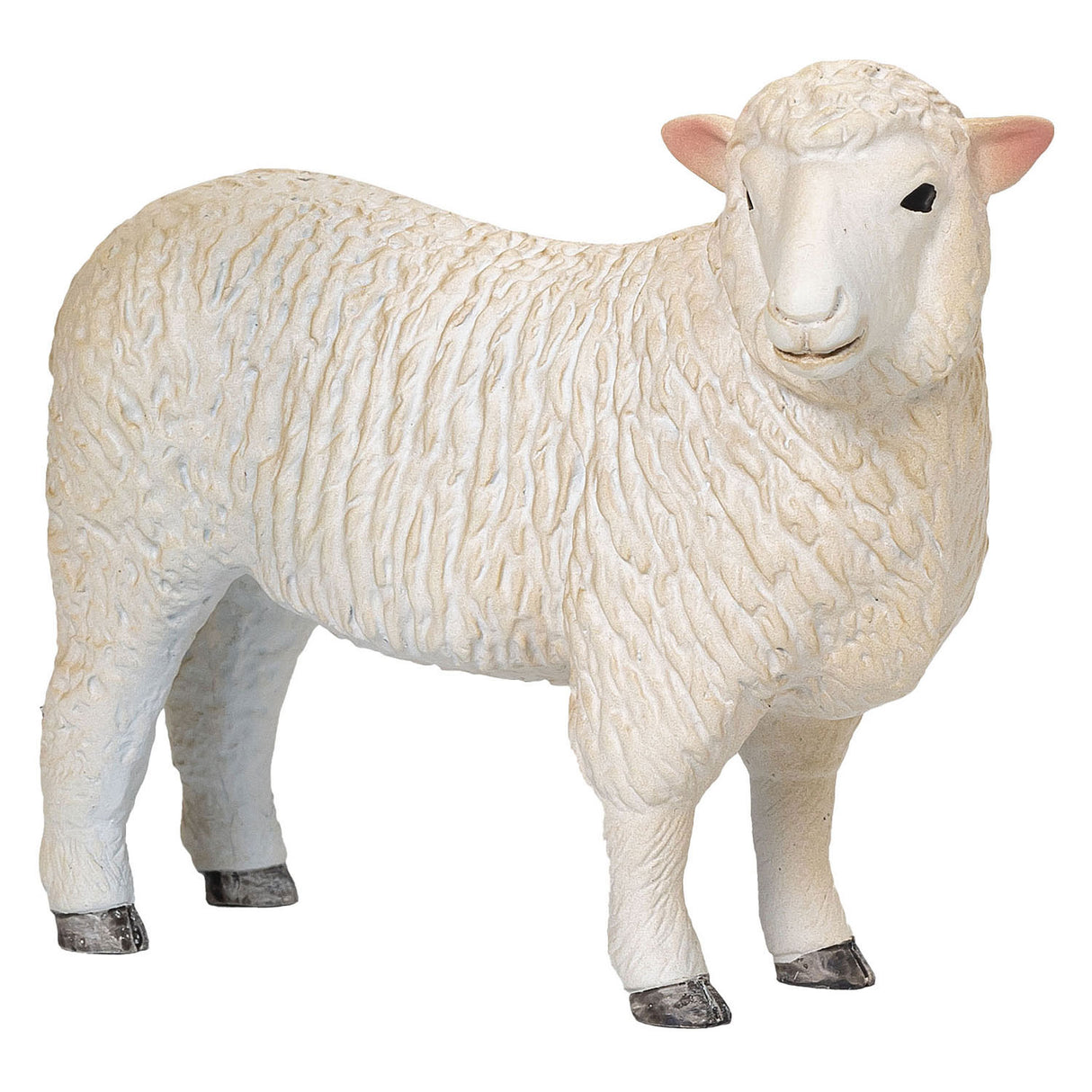 Mojo Bauereland Romney Skala Ooi 381064
