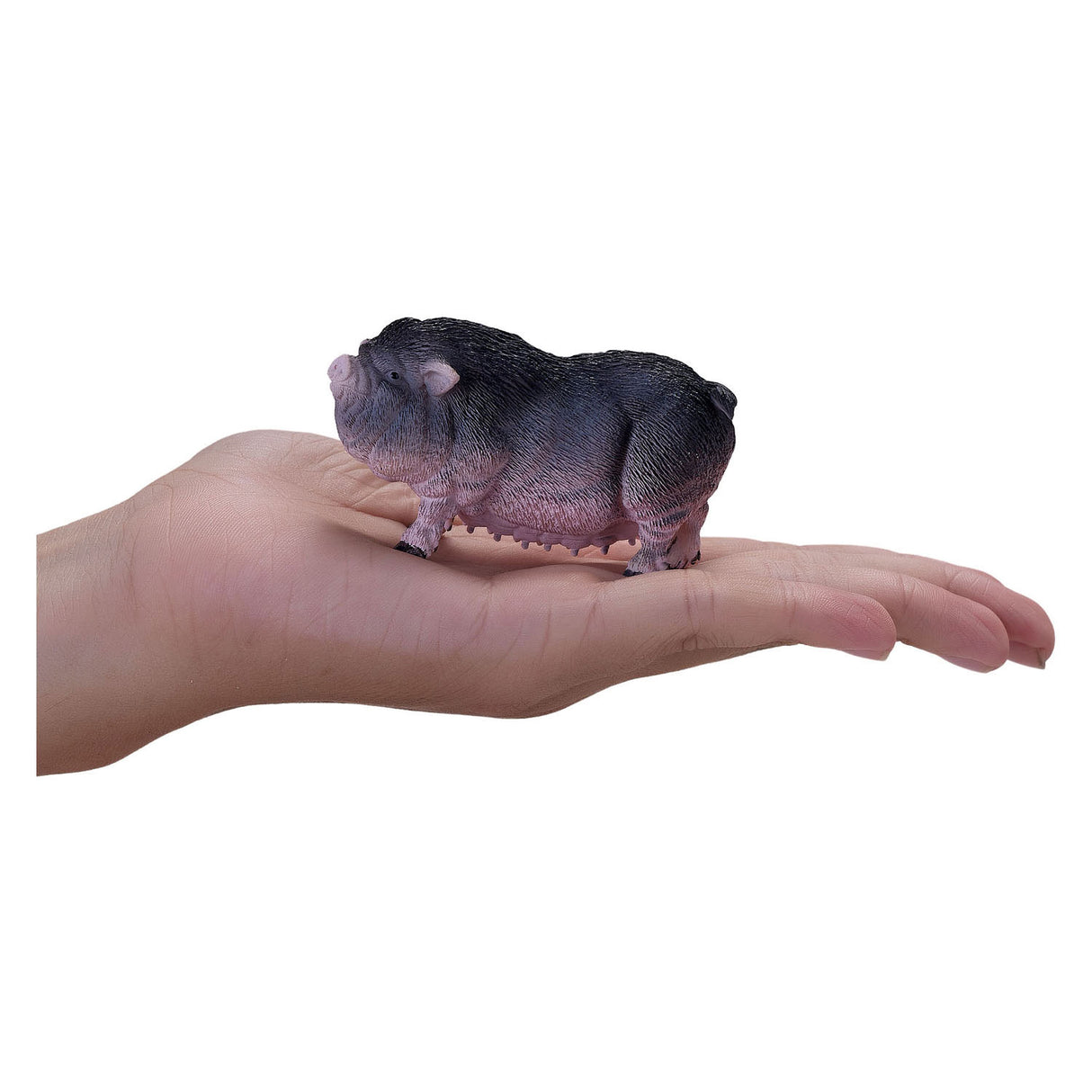 Mojo Farmland Bland Belly Boar 381079
