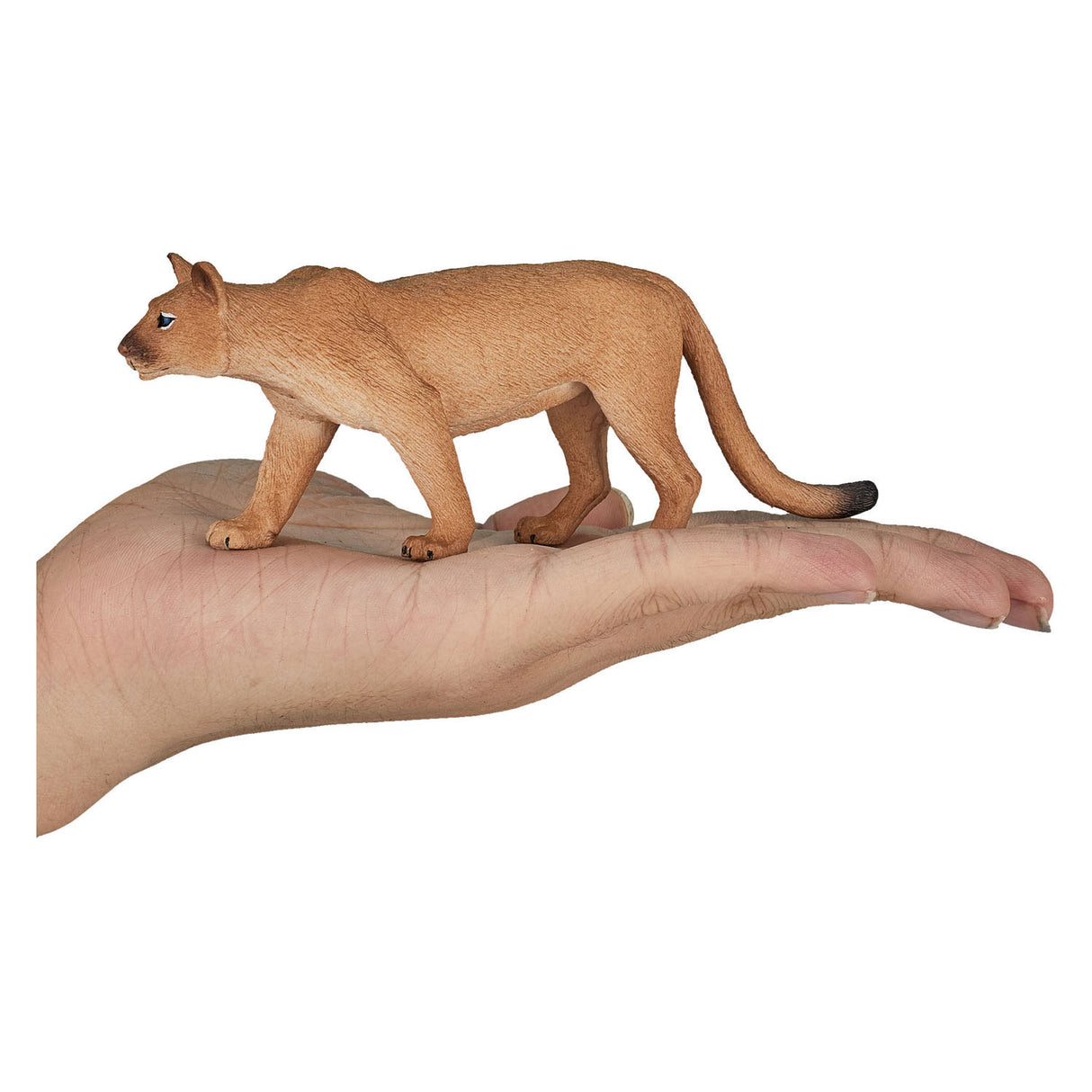 Mojo Wildlife Puma 387143