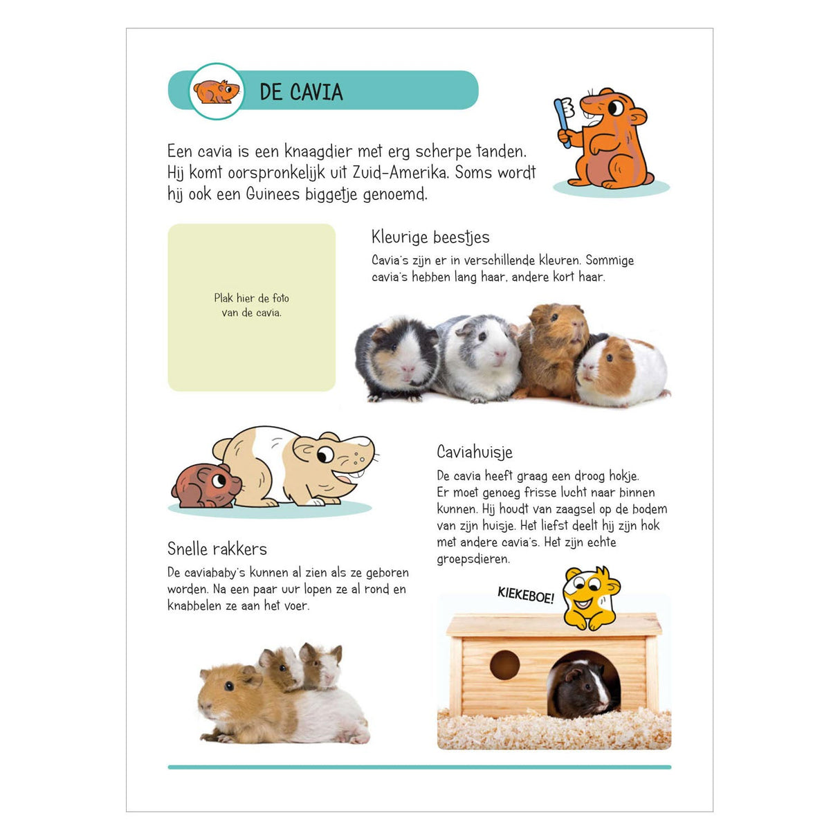Libro de pegatinas: animales en la casa y el jardín