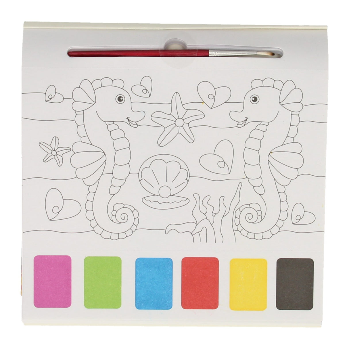 Wins Holland Watercolor Color Block - Marine animals