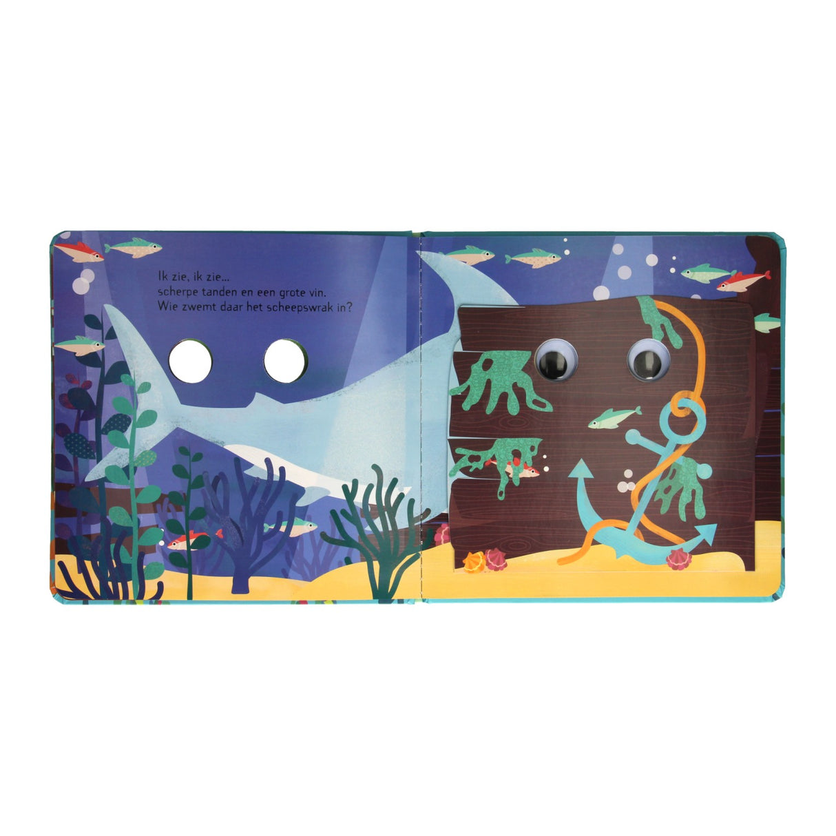 Standard Publisher Flapjesboek I see, I see in the ocean