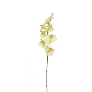 Kunst bloem orchidee creme 85 cm