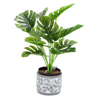 Pot Olea Cylinder Gris 11 cm