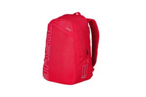 Basil Flex Backpack Bicycle bagcage carrier Red