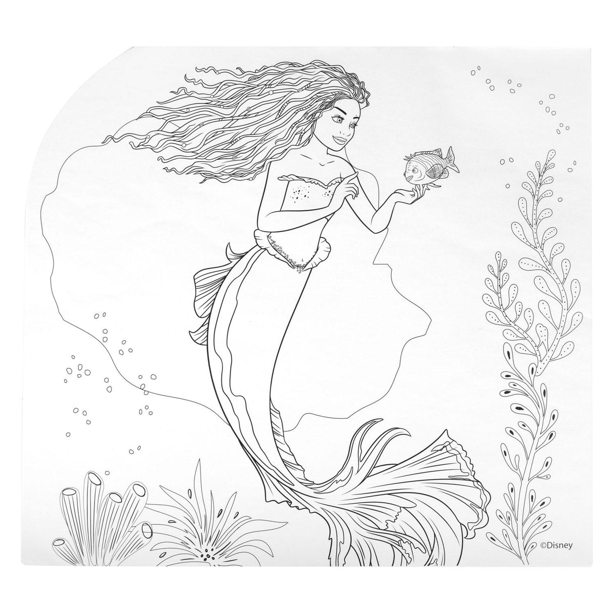 Canenco The Little Mermaid 5in1 Color Set