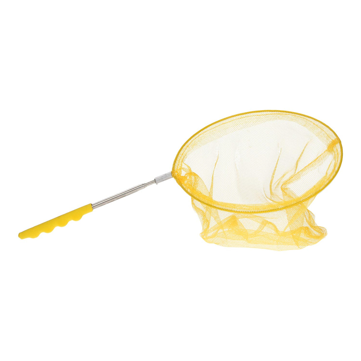 Extendable fishing net