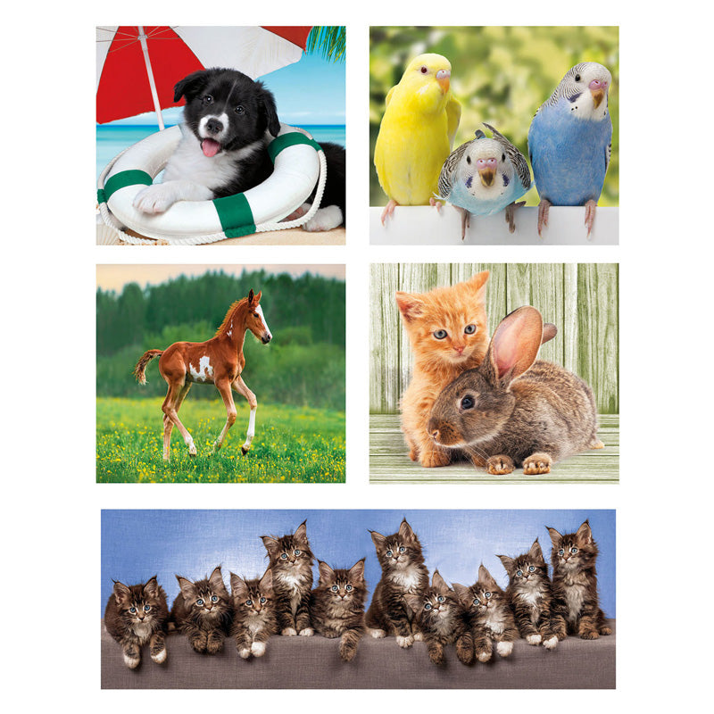Clementoni noha puzzl super color 10in1 zvířecí přátelé