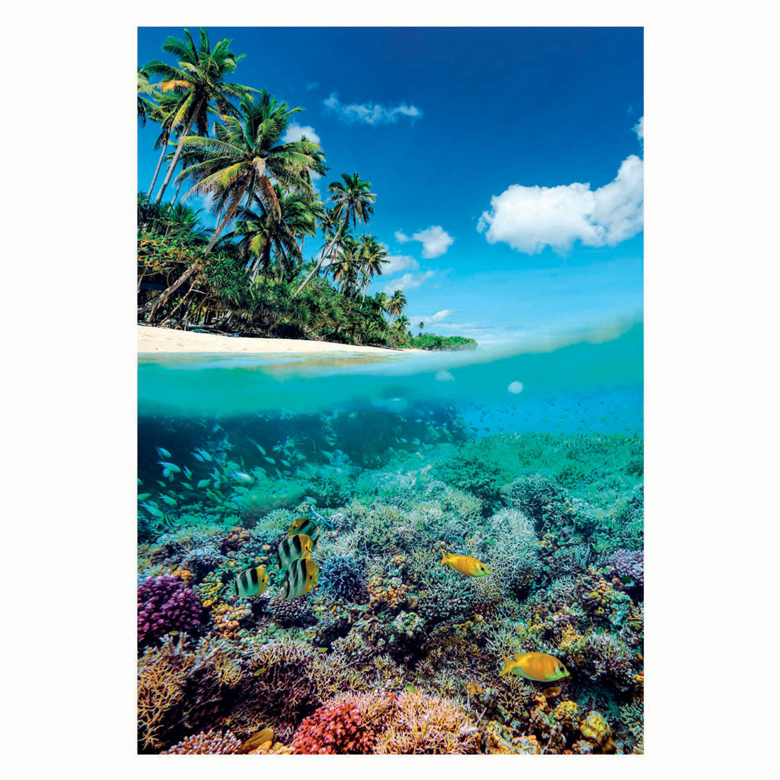 Clementoni jigsaw puzzle summer paradise, 1000st.