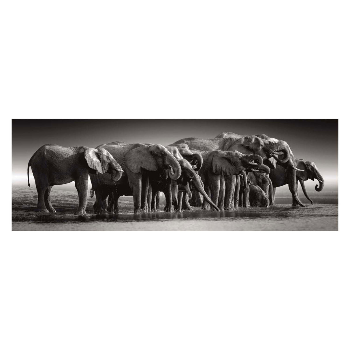 Clementoni Jigsaw Puzzle Hiert oder Risen, 1000st.