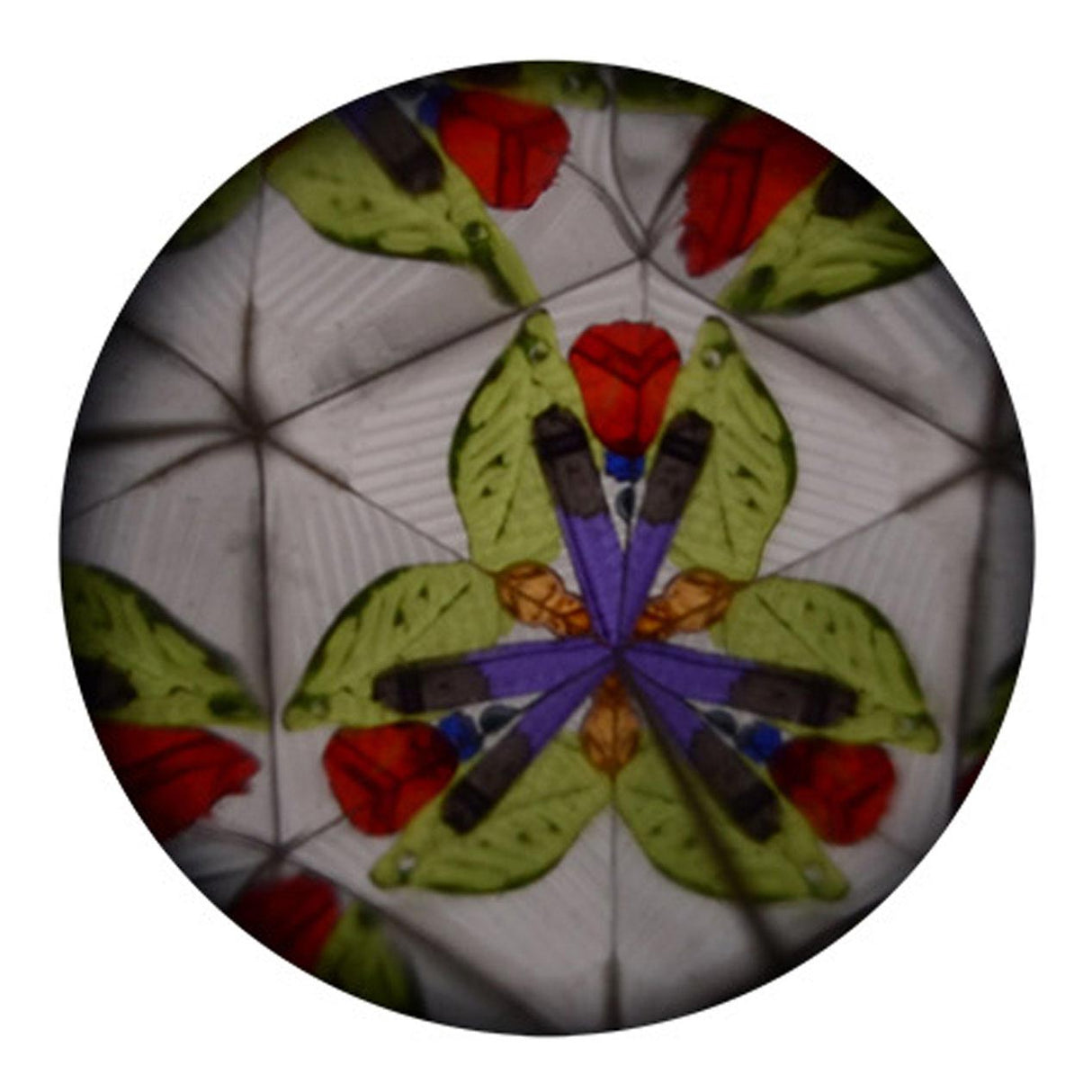 Johntoy Kaleidoscope Marine -Tiere