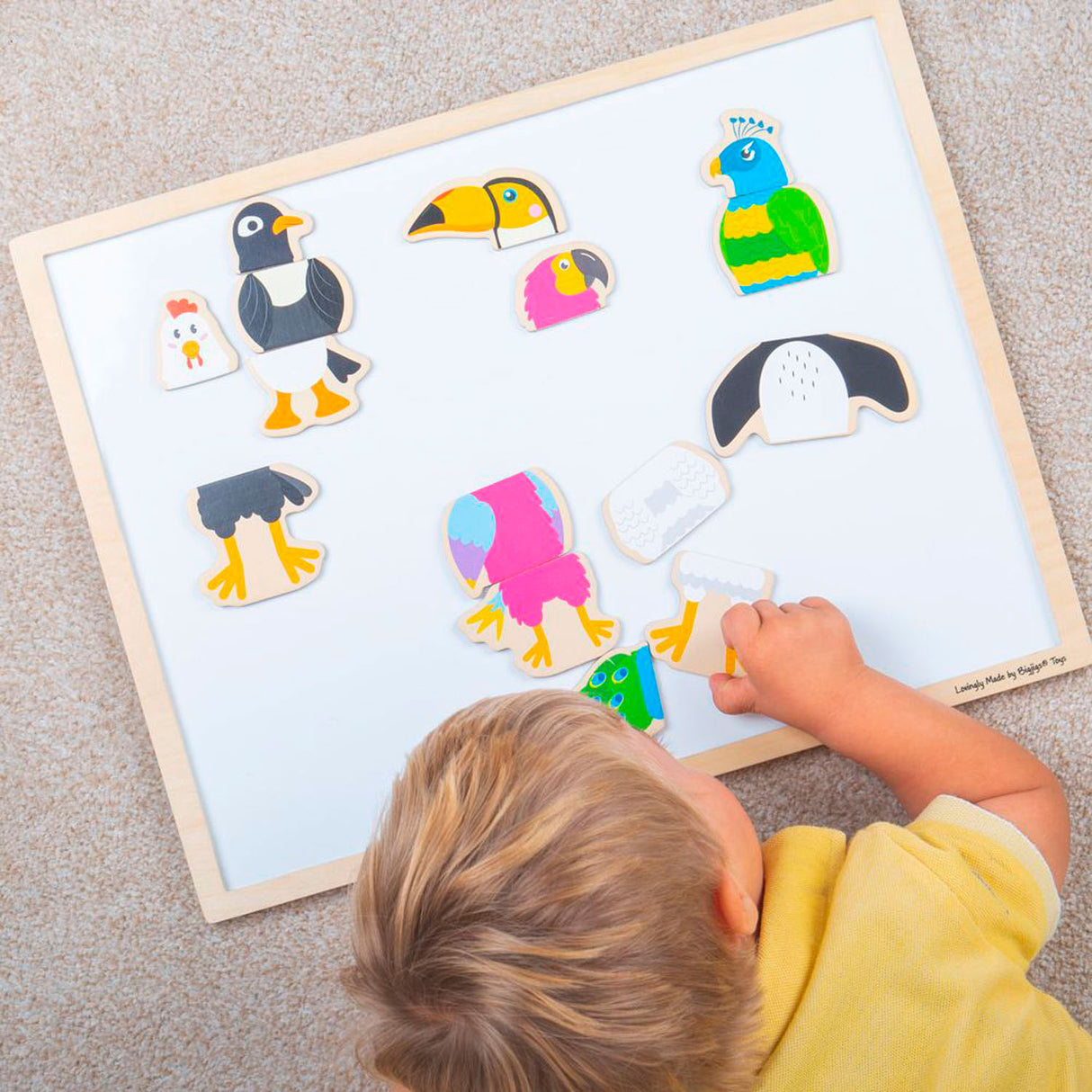 BigJigs Mag-Play Magle Puzzle Birds