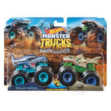 Mattel hot wheels monster trucks 1:64 2 pack assorti