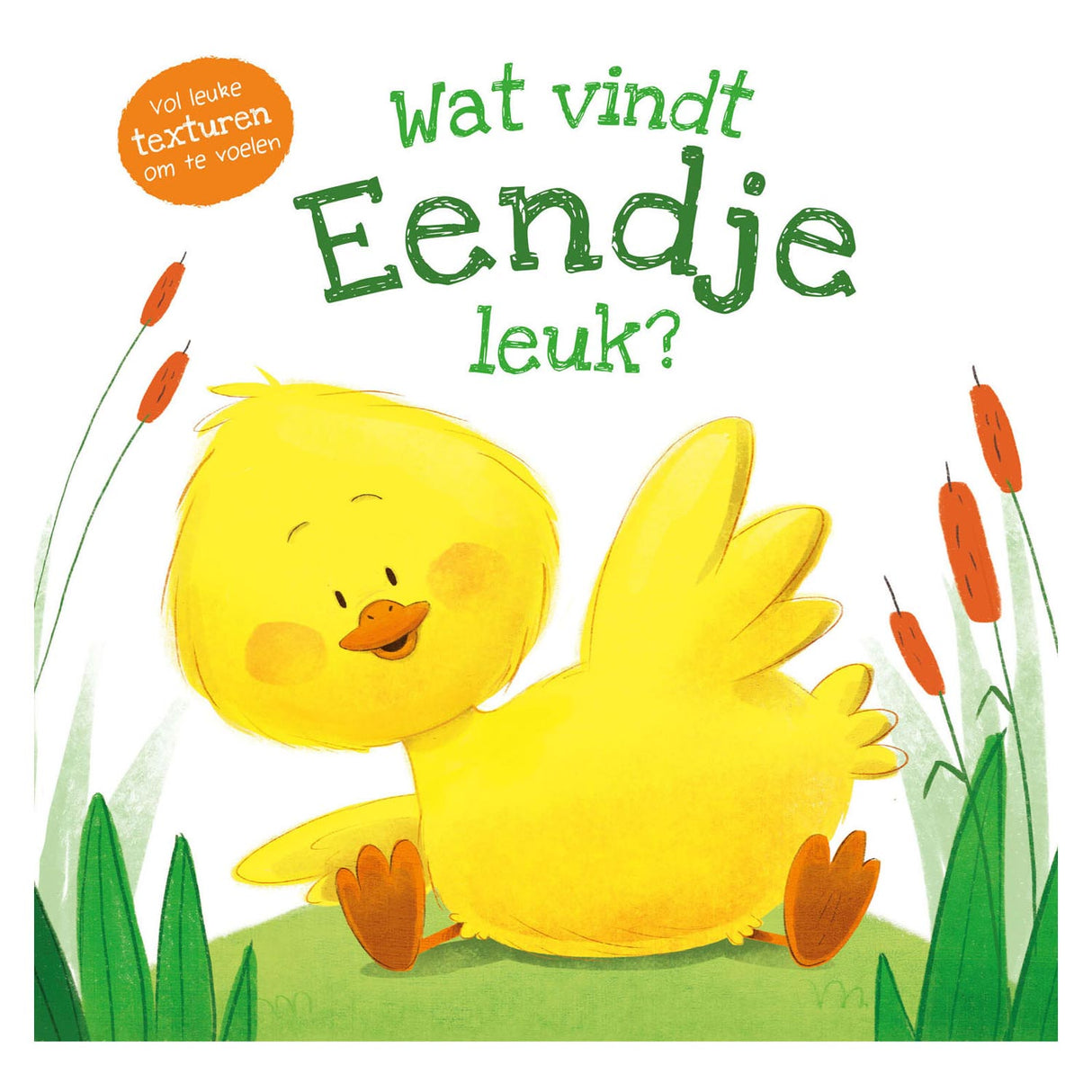 ReBo Publishers føler bog, hvad ser duckle ud?